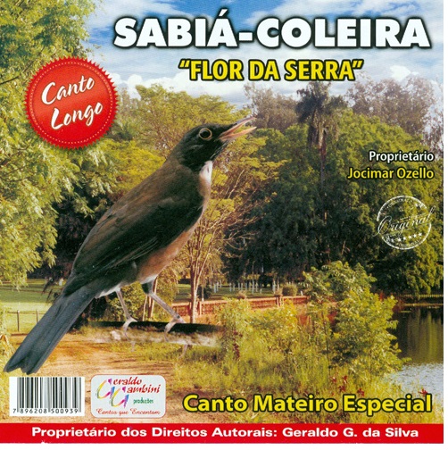 CD SABIA COLEIRA FLOR DA SERRA CANTO MATEIRO ESPECIAL