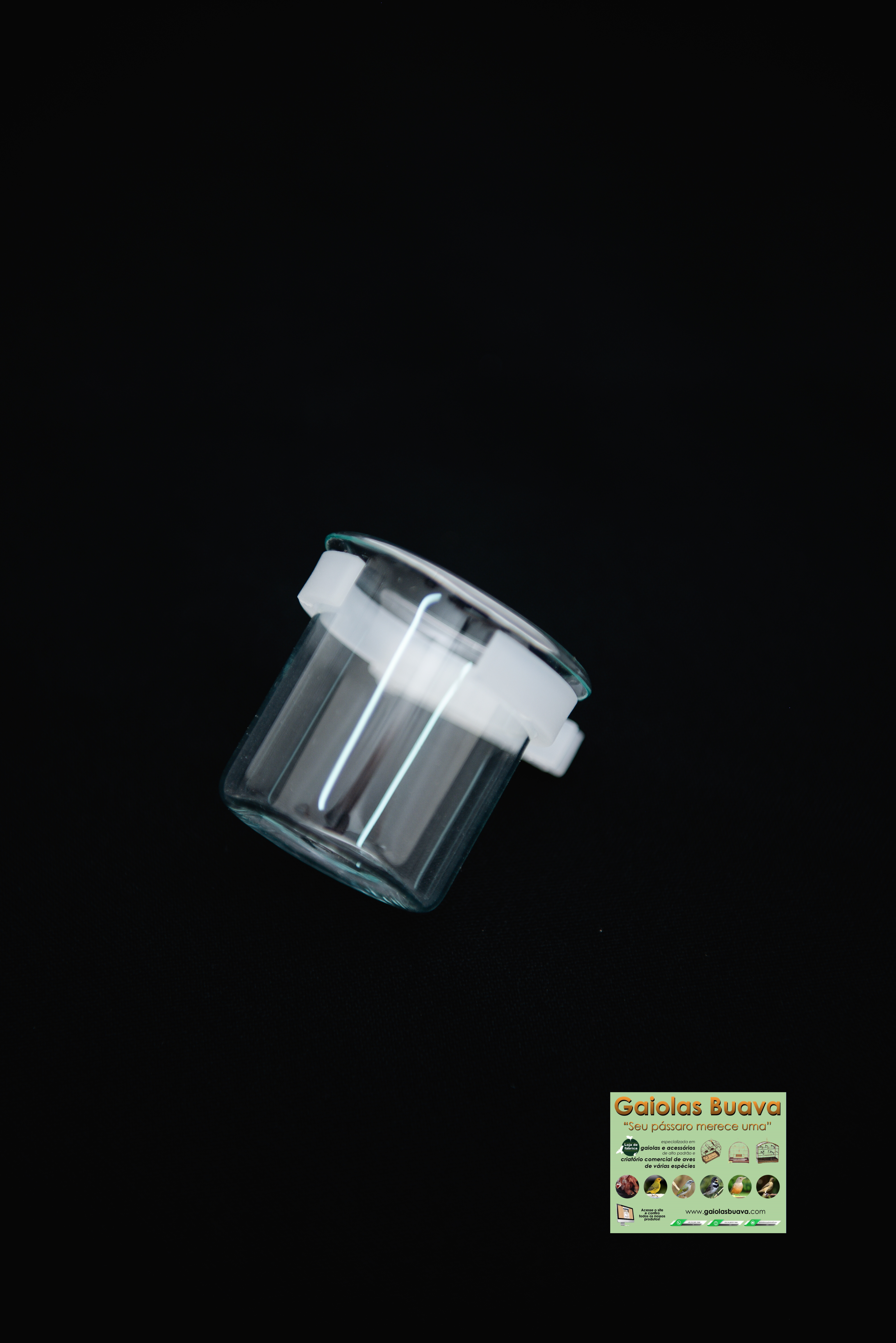 PORTA VITAMINA DE VIDRO RETO GRANDE COM A PRESILIA DE PLASTICO INDICADO PARA PIXARRO , SABIA , TRINCA , PASSO PRETO E OUTROS DO MESMO PORTE