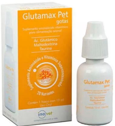 Glutamax - 10ml