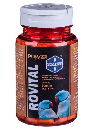 ROVITAL C POWER - 90 C�PSULAS